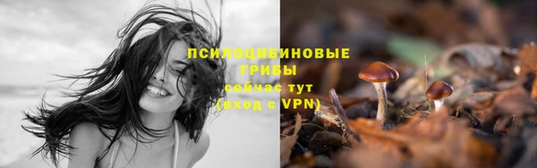 наркотики Михайловка