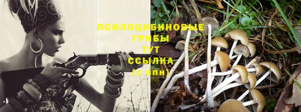 наркотики Михайловка