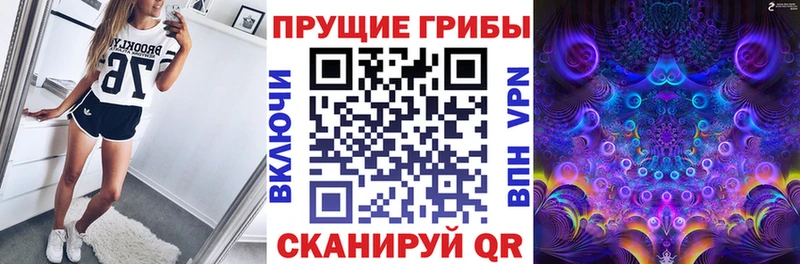 Псилоцибиновые грибы Psilocybe  Пудож 